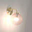 Frenchie Wallchiere-801985509