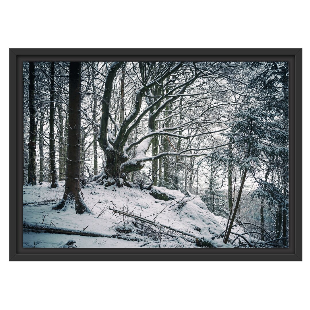 Schneebedeckter Wald Gerahmter Fotodruck