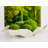 Preserved Moss Balls | Decorative Orbs & Vase Fillers (Set Of 6)