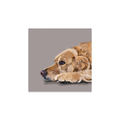 Golden Retriever, reproduction sur verre acrylique