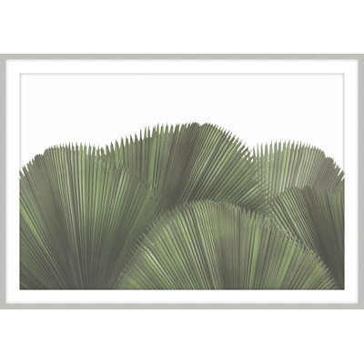 Tropical Leaves " Tropical Leaves 3 " by Studio L57 Narrative