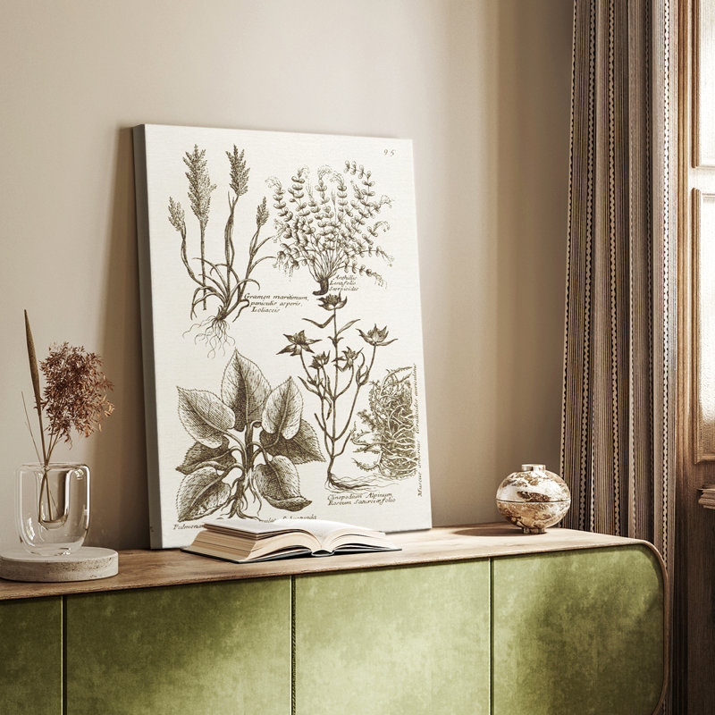 Sépia Botanical Journal VII - galerie sur mesure Cavas