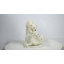 Ours polaires jouant