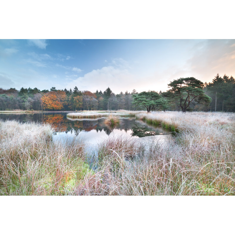 Lake And Frosted Grass - Wrapped Canvas Print, 30cm H x 46cm W x 3.8cm D