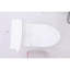 Elongated Toilet 1.28 High Efficiency Chair Height 12" Rough-in White Soft-close Seat Wax Ring Installation Quiet Flush 1000g Map Siphonic Way 2" Valve Size Bowl 16-1/2 With Kit