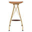 Tabourets de bar sans dossier Whiskey and Gold (ensemble de 2)