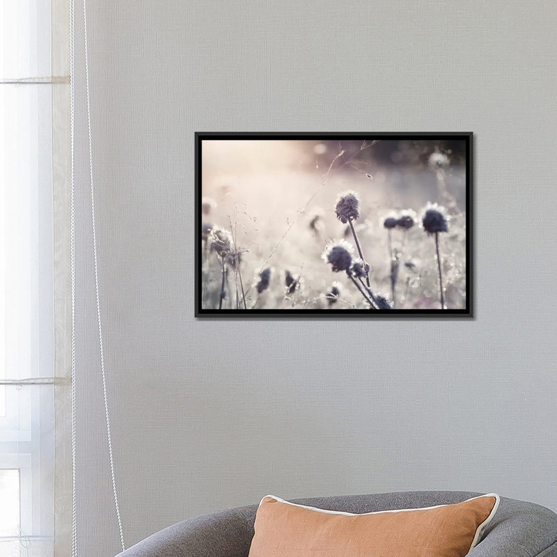 « frost i », impression sur toile, H 18 po x l 26 po x P 1,5 po, Toile encadrée noire