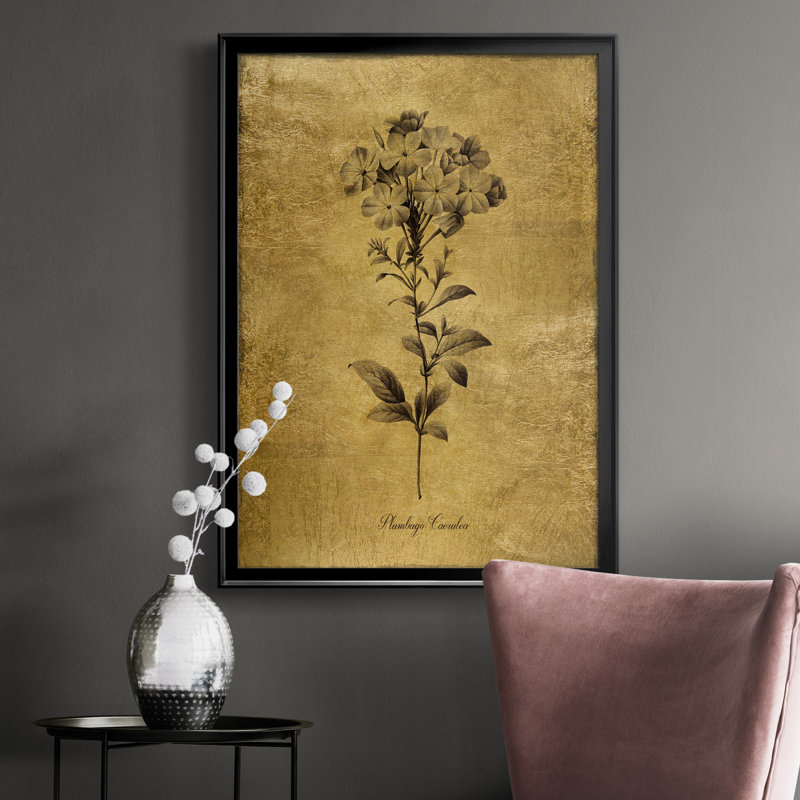 Ameelya, croquis dorés botaniques II, impression sur toile encadrée, H 26,5 po x l 36,5 po x P 1,5 po, Noir