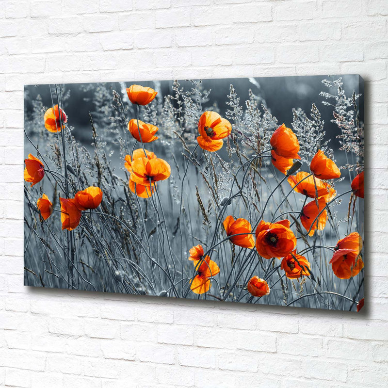 Field Poppy - No Frame Print on Canvas