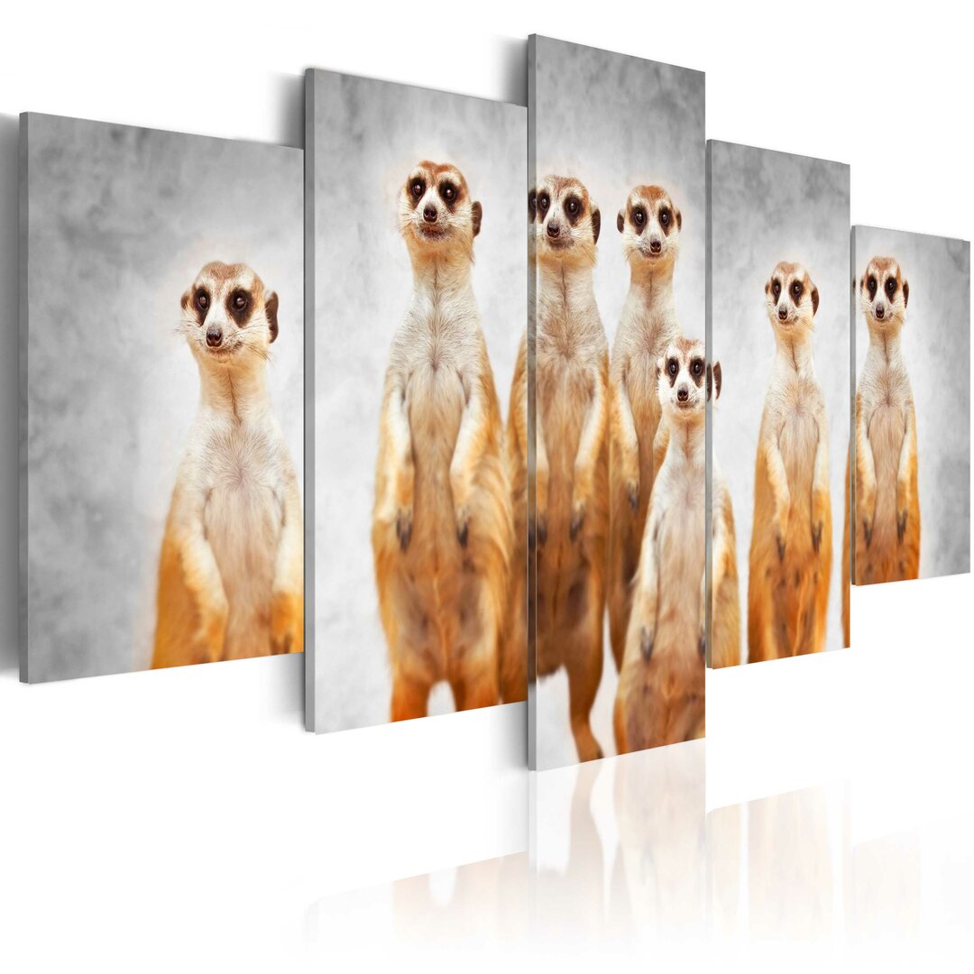 5-tlg. Leinwandbilder-Set Meerkats