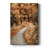 Winding Path -Custom Wrapped Gallery Cavas