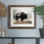 Geyser Basin - Single Picture Frame Print-1723057361-1723057362