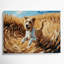 «Dogs Soft Coated Wheaten Terrier», art mural sur toile brune-1844720321
