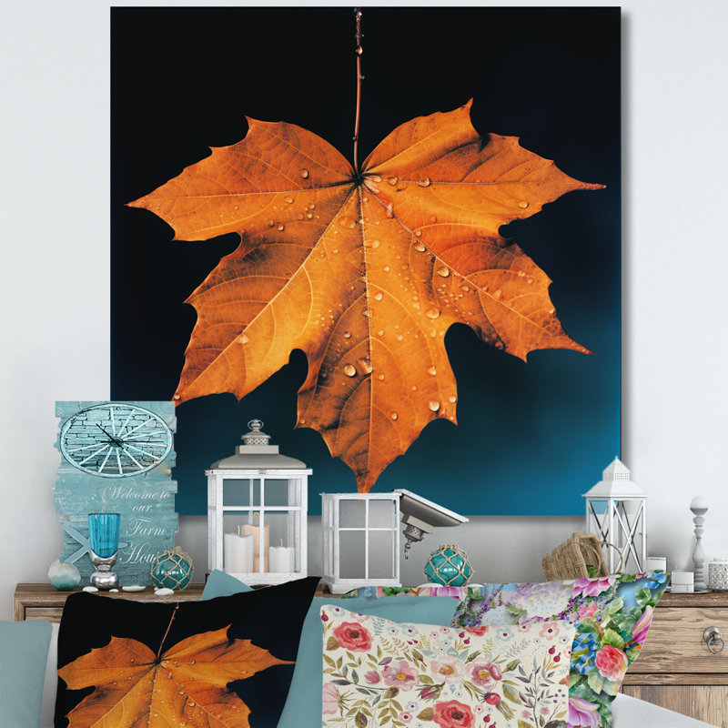 Feuillage tangerine orange érable translucide I, H 16 po x l 16 po x P 1 po, Toile tendue