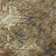 Premium Machine Washable Prisco Brown Rug