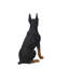 Statue de chien Doberman pinscher assis