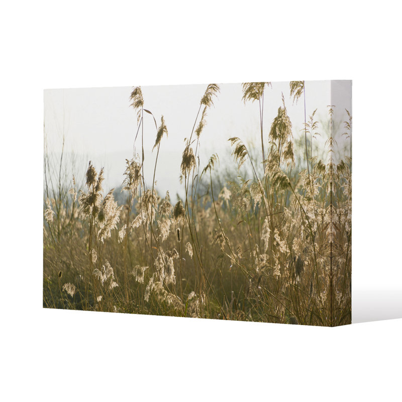 No Title by Andrew Lee - Wrapped Canvas Print