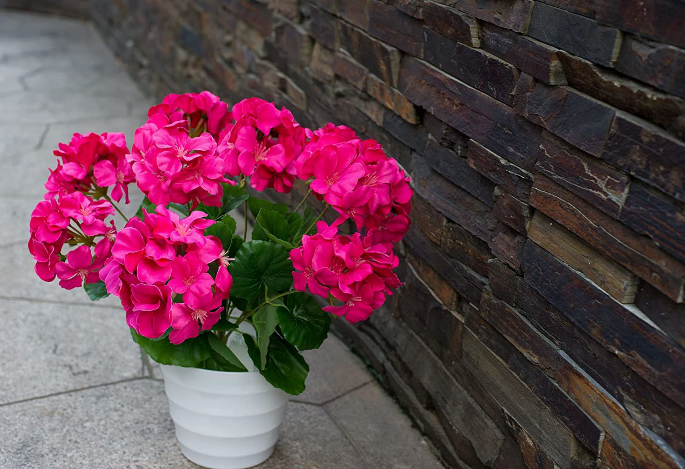Primrue Silk Geranium Stems, Bushes, And Sprays Arrangement Wayfair
