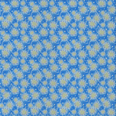 Indoor Rug