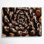 Desserts Hostess cupcakes Black Canvas Wall Art-780417408