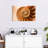 Aletra Nautilus Shell Inside-107680922