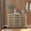 Armoire de rangement pour chaussures Alcester Lismore jusqu'à 20 paires-1700935812