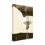 Art sur toile, bologle bolivien Alexander Adiels-103100315