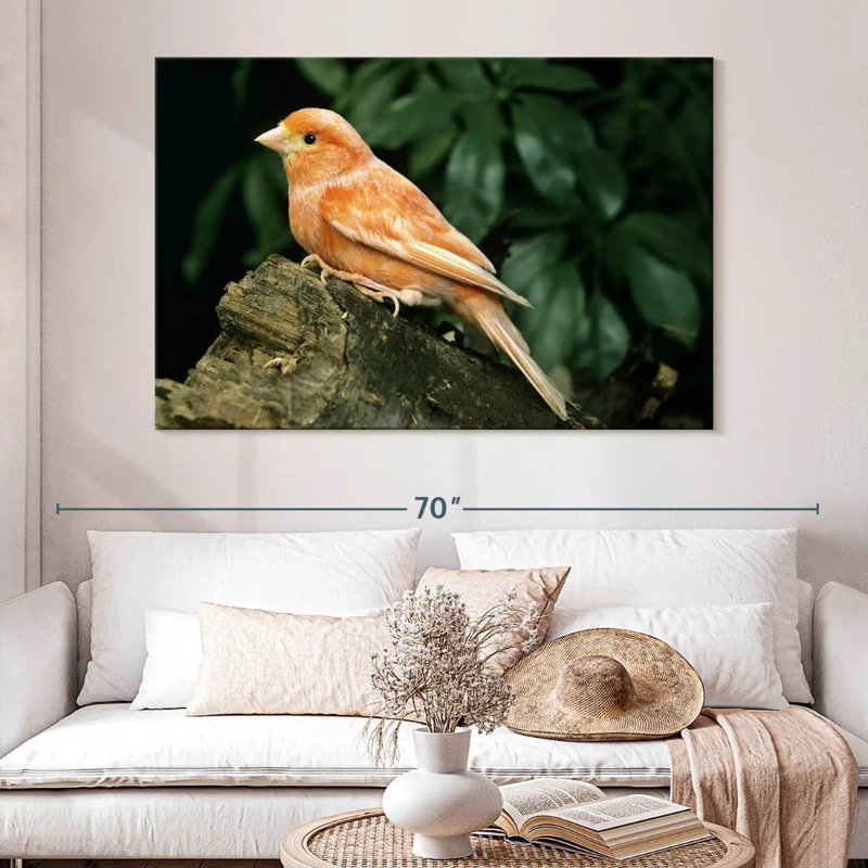 Crowle Canary Bird