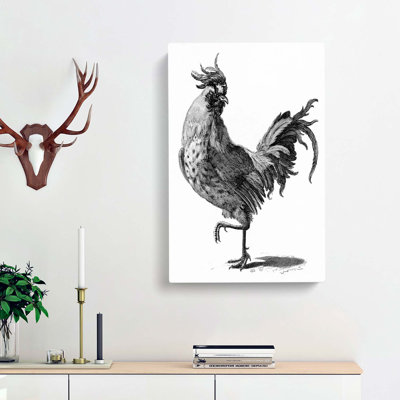 A Cock In Black & White by Johan Teyler - Wrapped Canvas Print