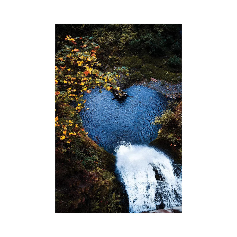 Nature Love by Lucas Moore - Wrapped Canvas Print, 101.6 cm H x 66.04 cm W x 1.91 cm D