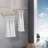 Alcina 71'' Metal Wall Mounted Clothes Rack
