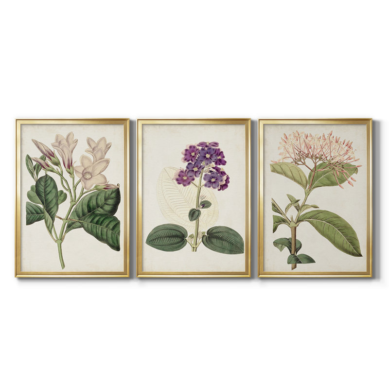 Antique Antique Botanical Collection, H 21 po x l 30 po, Doré