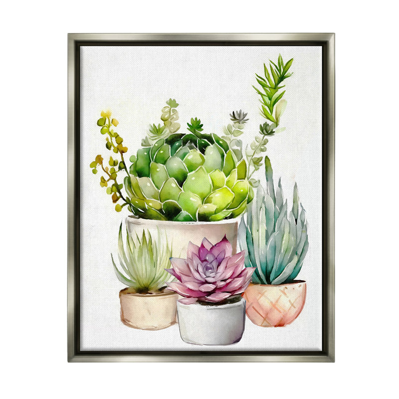 "Dakota Fields Varied Succulent Garden Plants", art encadré sur toile flottante par Ziwei Li, H 21 po x l 17 po x P 1,7 po
