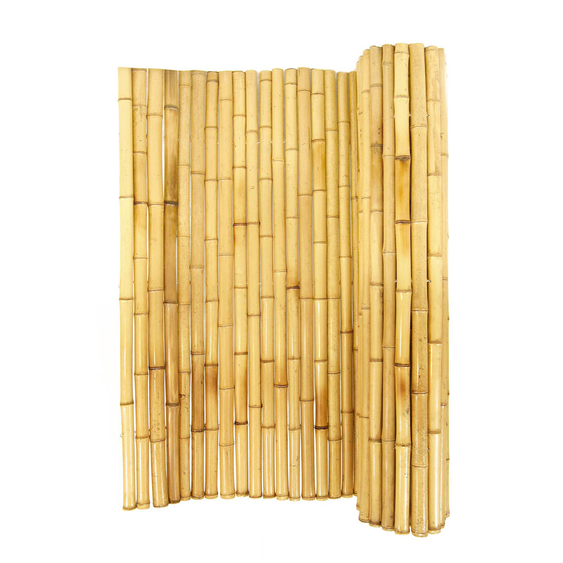 Panneaux de clôture décoratifs en bambou naturel sans creusage de P 3/4 po, H 3 pi x l 8 pi