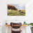 Brampt Border Collie And Cow-107707391