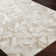 Amneris Oriental Area Rug
