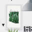 Arizona Cactus - reproduction de cadre photo sur papier-354264573