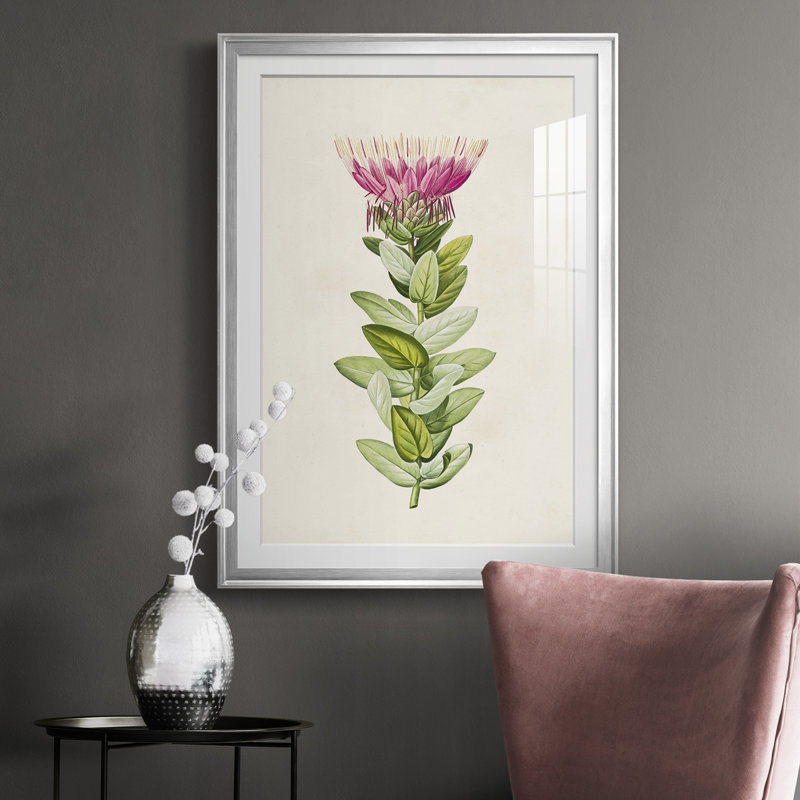 «Pretty Pink Botanicals IV» - reproduction de cadre photo, Chrome, H 42,5 po x l 30,5 po x P 1 po