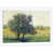 Toile tendue