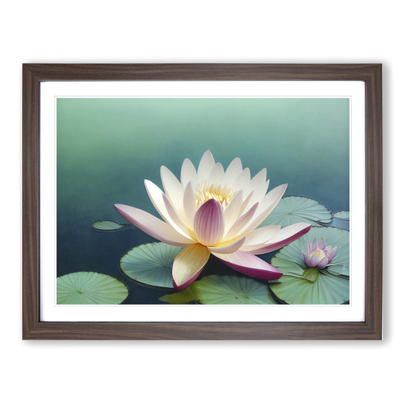 Classic Water Lily Flower - Framed Print, 25cm H x 34cm W x 2cm D, Walnut