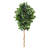 Ficus Artificial Tree