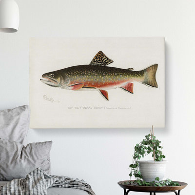 Male Brook Trout by Sherman F. Denton - Wrapped Canvas Painting
