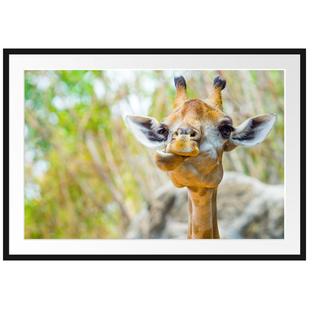 Gerahmtes Poster Giraffe in der Natur