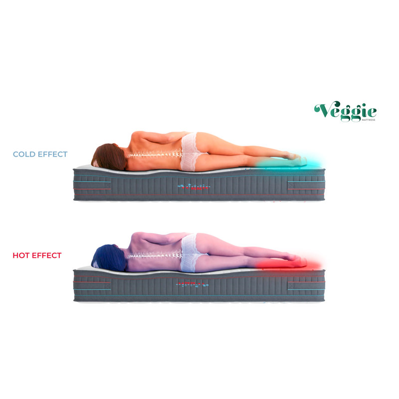 Veggie Mattress Foam Mattress, European Double (140 x 200cm)