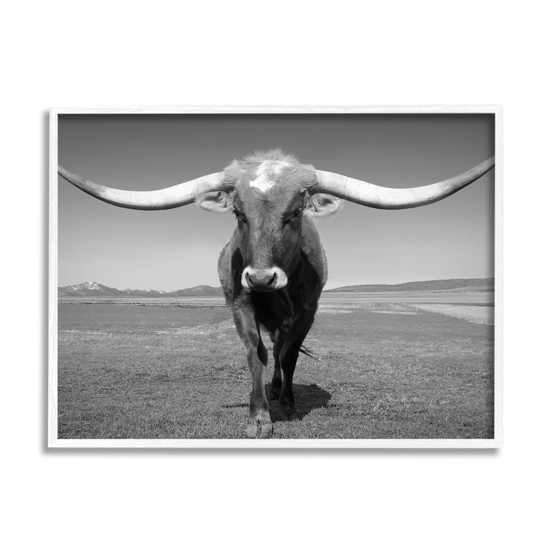 Longhorn en campagne par Steve Toole, H 11 po x l 14 po x P 1,5 po, Giclée encadrée blanc bord de mer