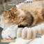 Cotton Hammock Pet Bed