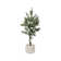64.6'' Artificial Olive Tree In A Shell Designed Fiberstone Planter