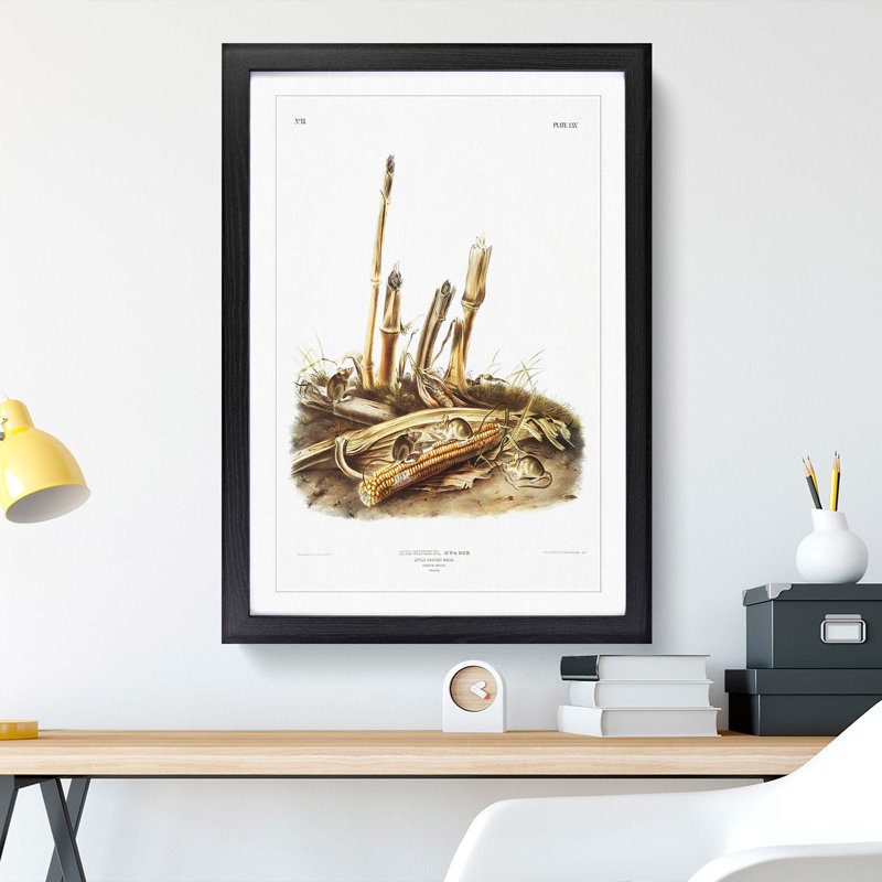 Harvest Mice by J.W. Audubon - Picture Frame Painting Print, Black Framed, 87cm H x 62cm W x 2cm D