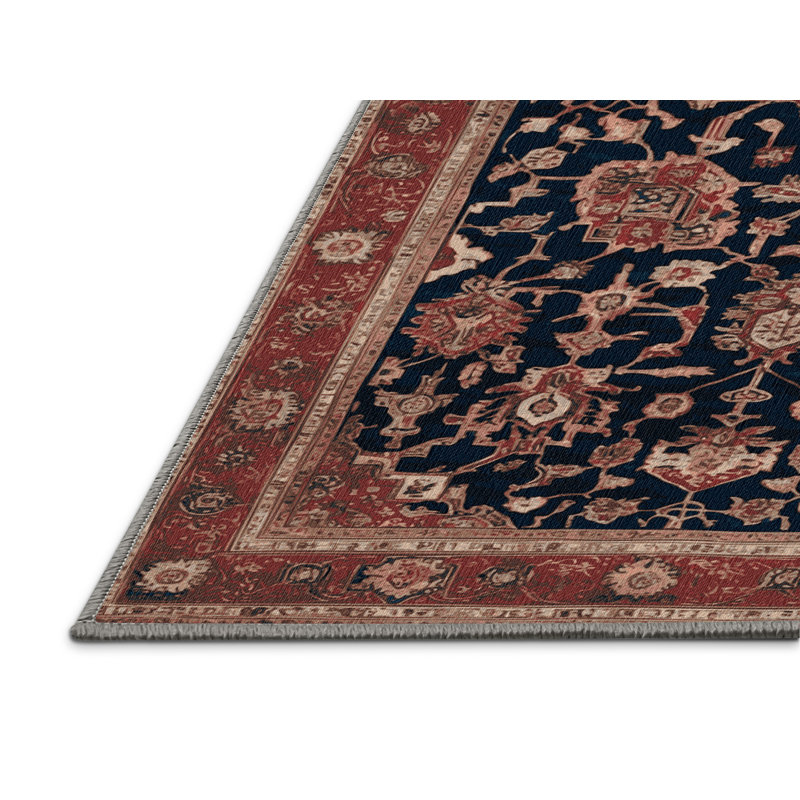 Machine Washable Persian Brown Area Rug, Rectangle 4' x 6'