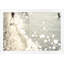 Sunkissed Gaze 3 Print by Thom Filicia